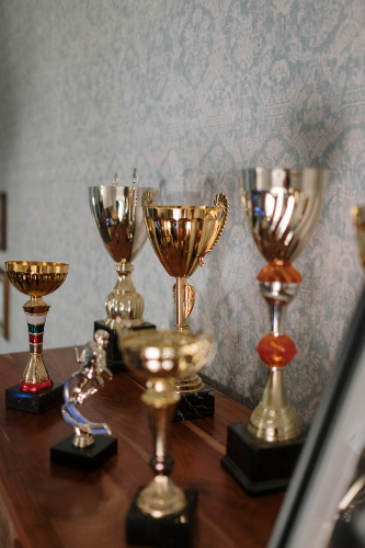 La imagen muestra una serie de seis premios expuestos encima de una mesa.