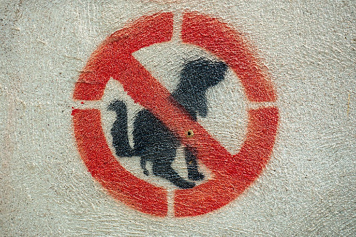 La imagen muestra una señal de prohibido excrementos de perros pintada en una pared. 
