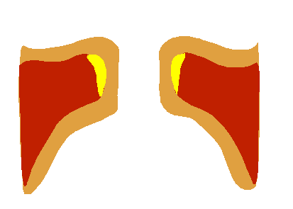 Simulación de cuerdas vocales vibrando
