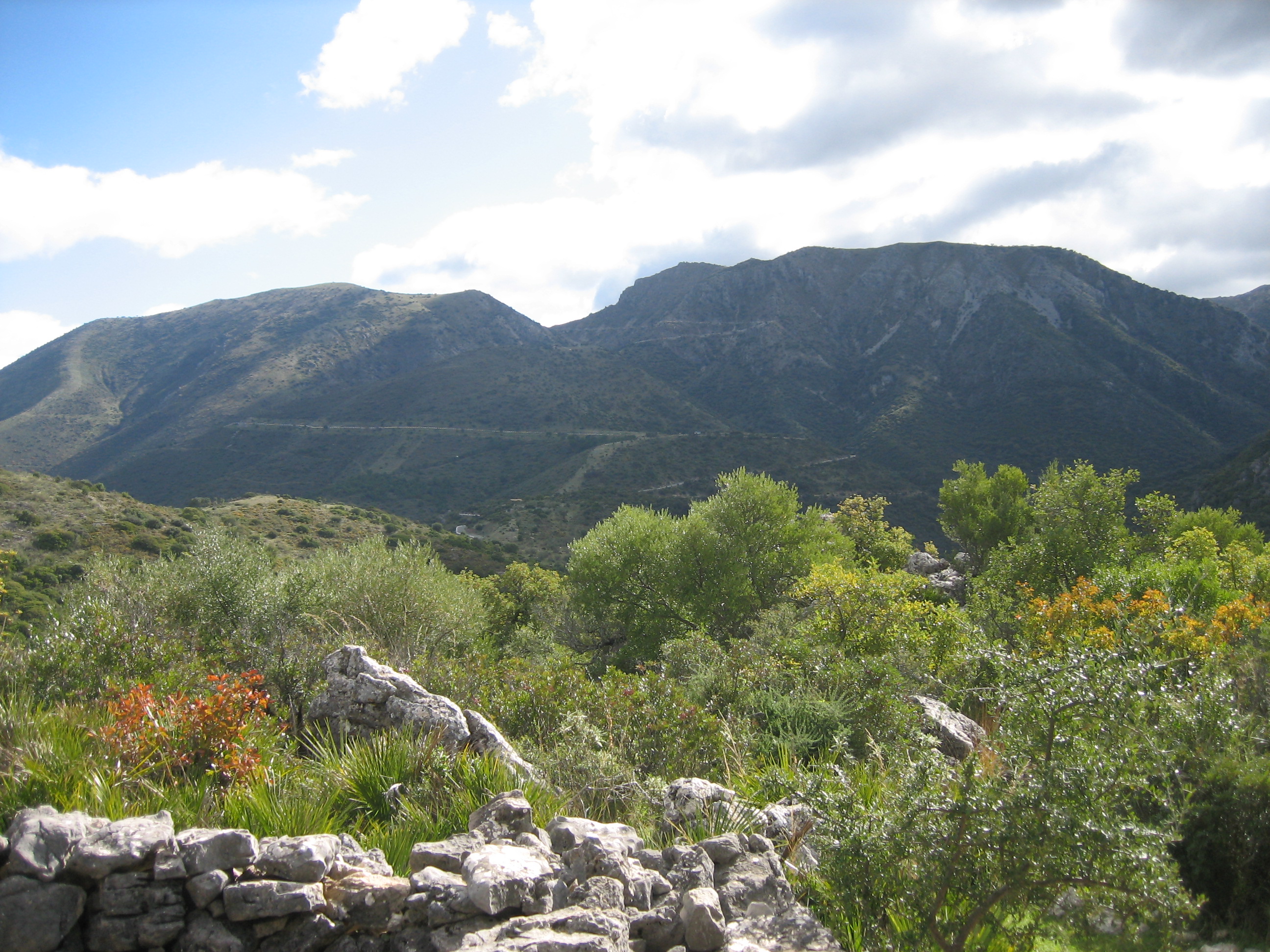 El paisaje de los Sistemas Béticos se caracteriza por ser abrupto y elevado, como este de la sierra de Grazalema al norte de la provincia de Cádiz.