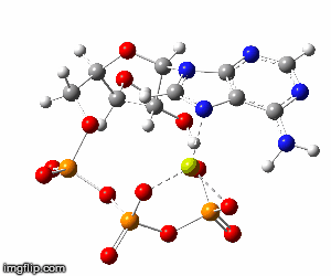 Estructura tridimensional del ATP