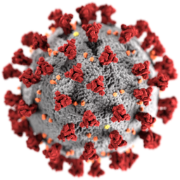 La imagen muestra un coronavirus