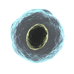 La imagen muestra una célula