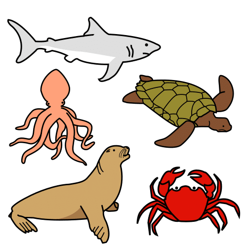 La imagen muestra animales como el tiburón, la tortuga, el calamar, la foca y el cangrejo.