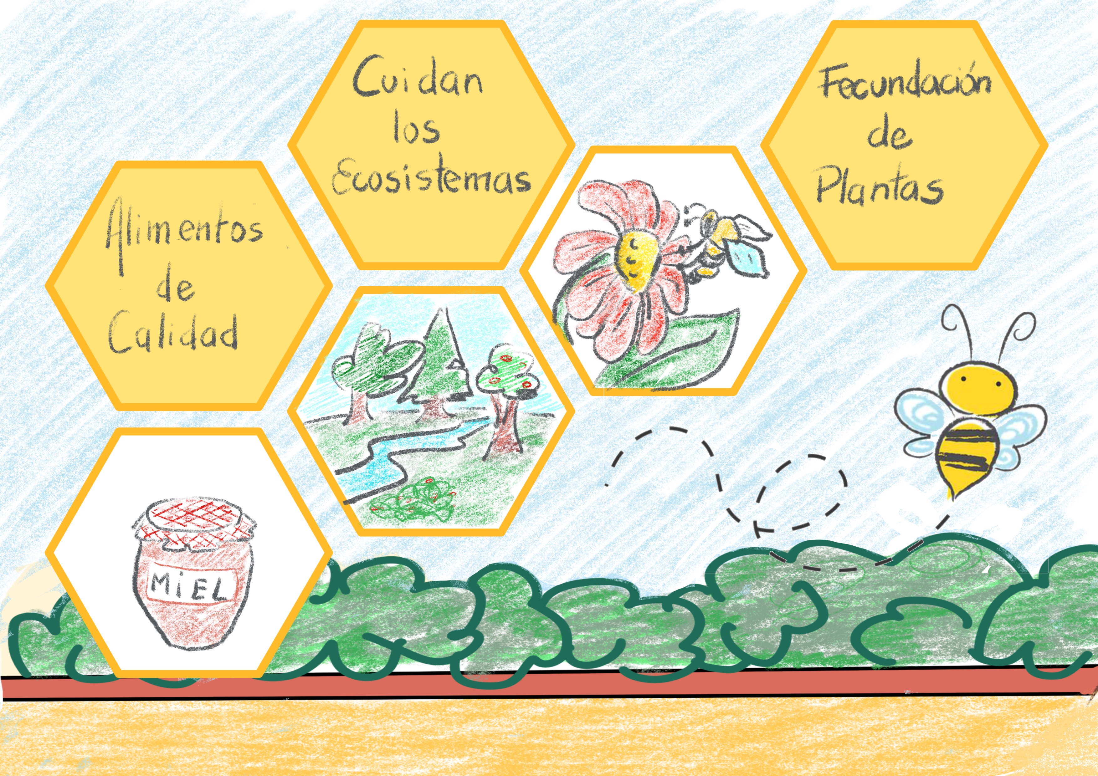 Presentación sobre las abejas que Mati utiliza para explicar sus bondades