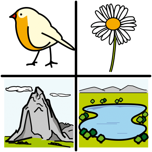 En la imagen puedes ver un pictograma dividido en cuatro zonas iguales, en las que se observan –de izquierda a derecha y de arriba a abajo–, un pájaro, una margarita, una montaña y un lago
