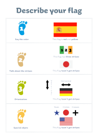 Infografía para facilitar el aprendizaje de las estructuras de las diferentes banderas