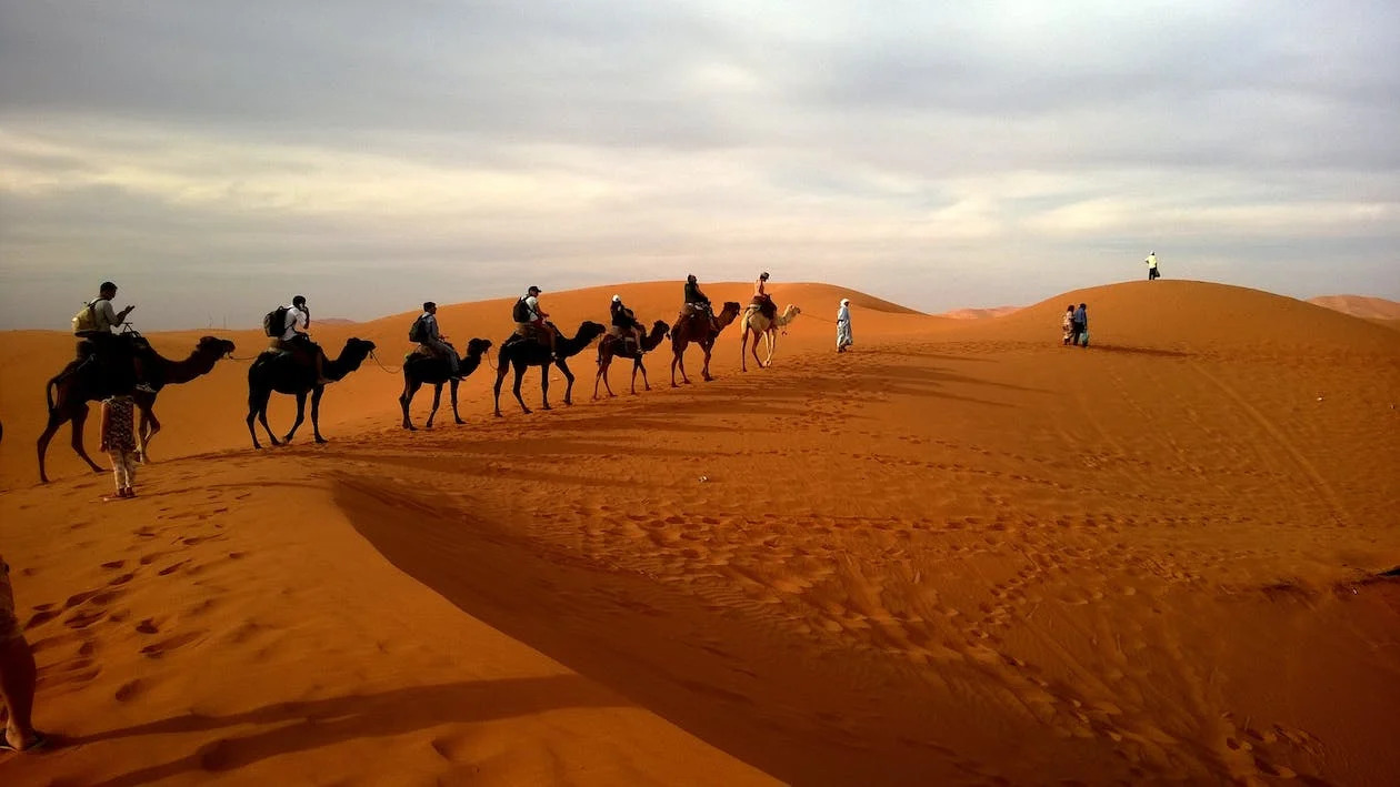 La imagen muestra una fila de personas montados en camellos atravesando el desierto de día. 