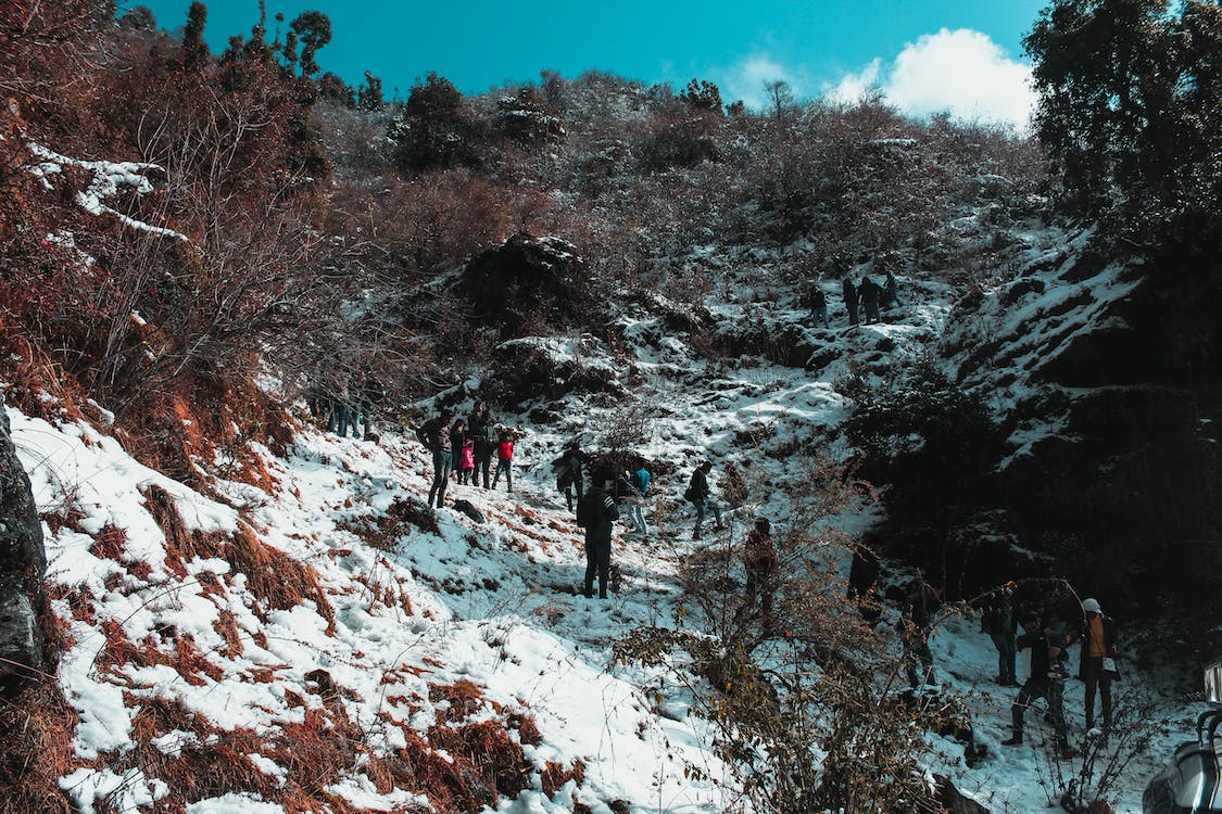 La imagen muestra a un grupo de amigos que está subiendo una montaña nevada. 