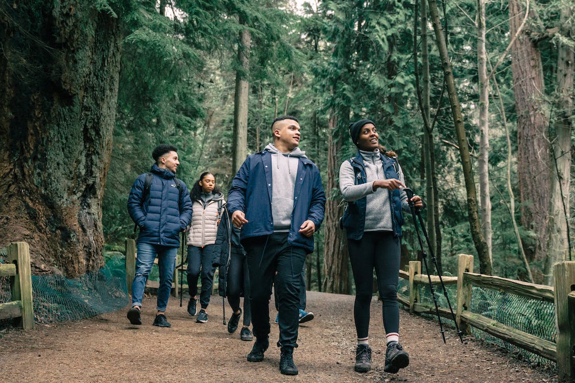La imagen muestra a un grupo de excursionistas andando por un bosque. 
