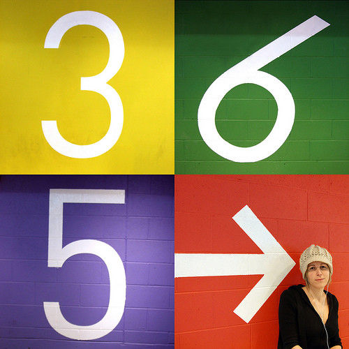 3 6 5