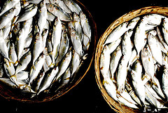 Pescado