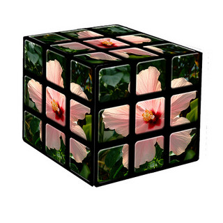 Cubo con flores