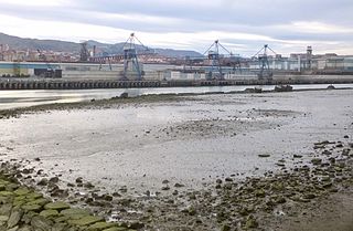 Acería de Bizkaia