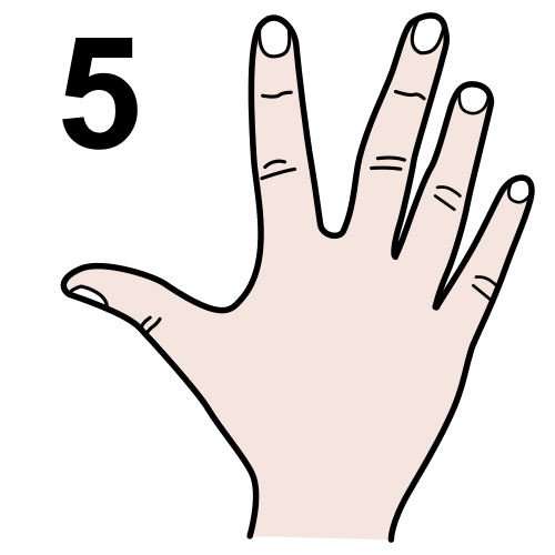 La imagen muestra el pictograma 5 con una mano mostrando 5 dedos