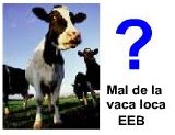La Encefalopata espongiforme bovina (EEB) o "mal de la vaca loca" es una enfermedad progresiva que ataca el sistema nervioso de los bovinos adultos que termina indefectiblemente con la muerte del animal. Es producida por protenas modificadas del organismo que se conocen como priones. Los priones