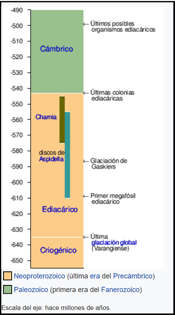 Biota ediacárica en su contexto