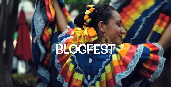 Video Blog Fest