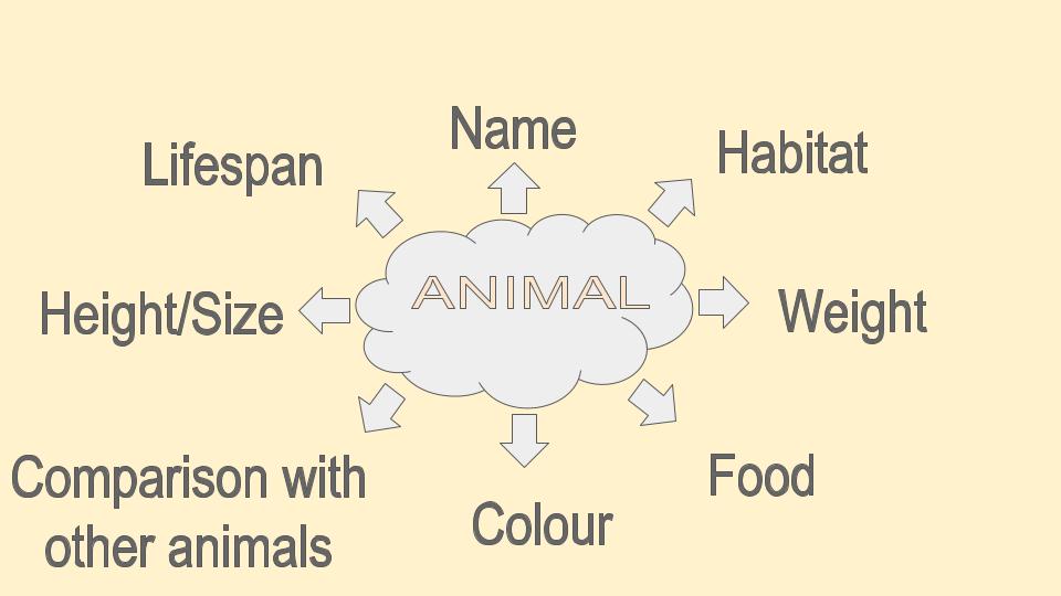 Animal brainstorming