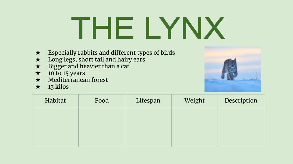 Lynx info chart