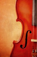 Violín