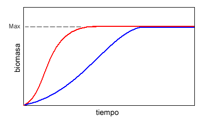 Curvas de evolución