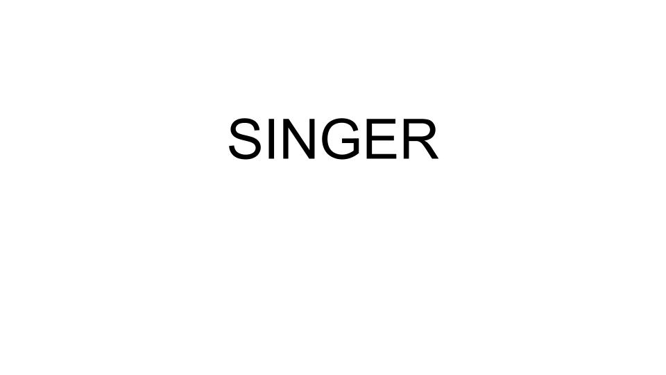 Palabra singer