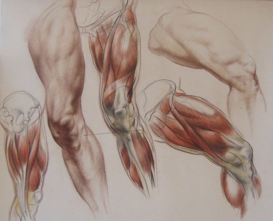 estudios academicos