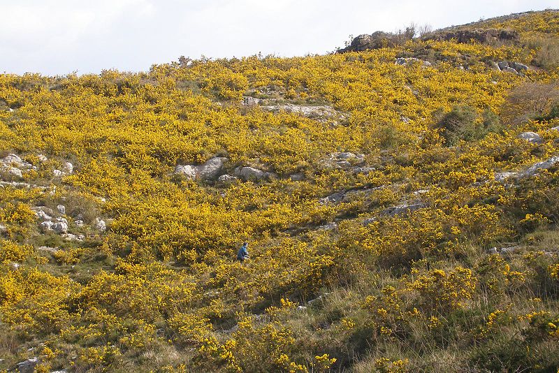Paisaje de landa