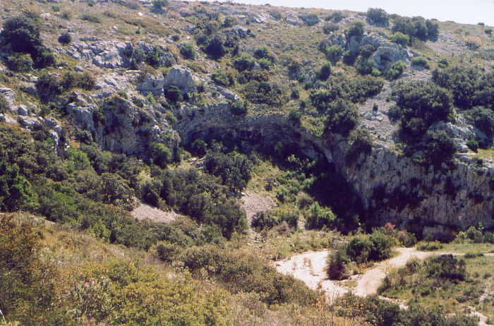 Paisaje de garriga
