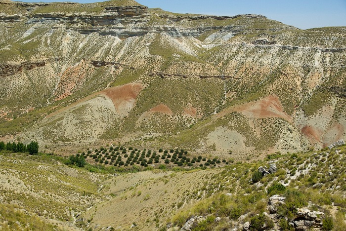 Paisaje Andalucía