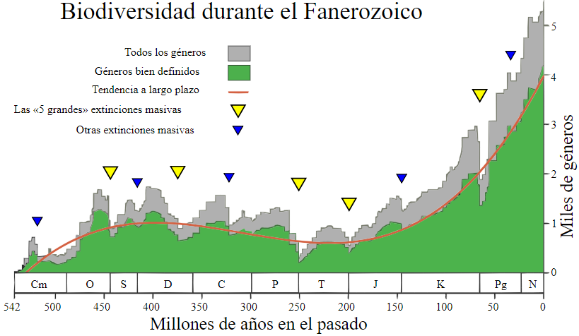 Biodiversidad durante el Fanerozoico
