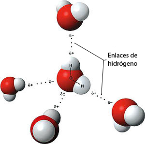 puentes de hidrógeno