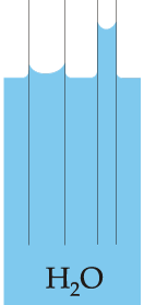 capilaridad