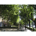 Paseo del Prado