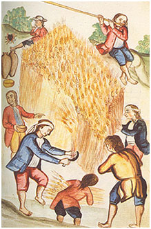 segadores