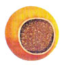 Lisosoma