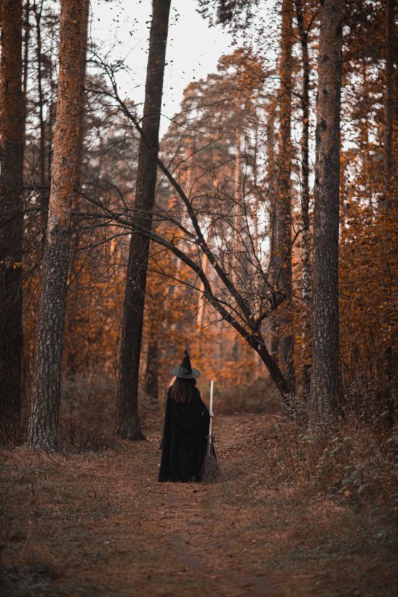 Bosque en otoño con una bruja con su escoba.