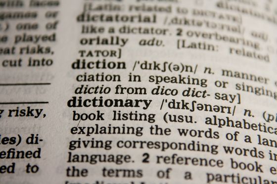 Aparece una fotografía realizada de un trozo de página de un diccionario. En ella se aprecian palabras.