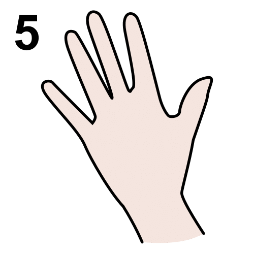 Número cinco y cinco dedos levantados.