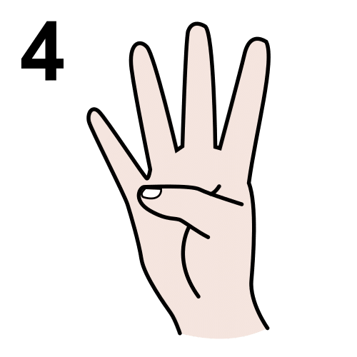 Número cuatro y cuatro dedos levantados.
