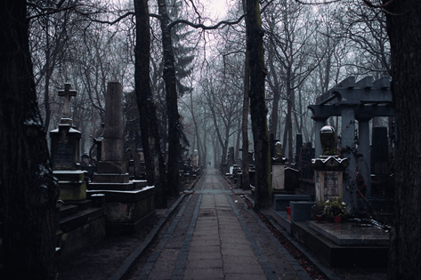 La imagen muestra la calle central de un cementerio tenebroso.