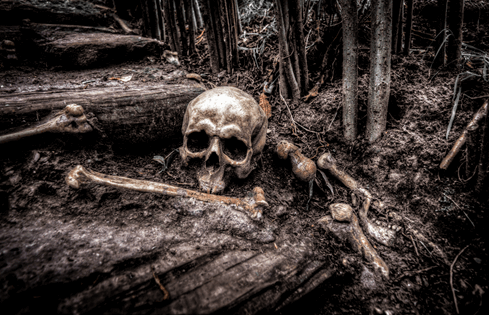 La imagen muestra un cráneo junto a unos huesos tirados en el suelo en mitad de un bosque oscuro.