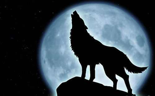 La imagen muestra la sombra de un lobo aullando delante de la silueta de la luna.