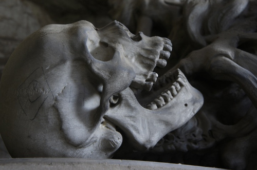 La imagen muestra una calavera con la boca abierta.