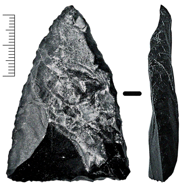Punta de lanza tallada por los neanderthales