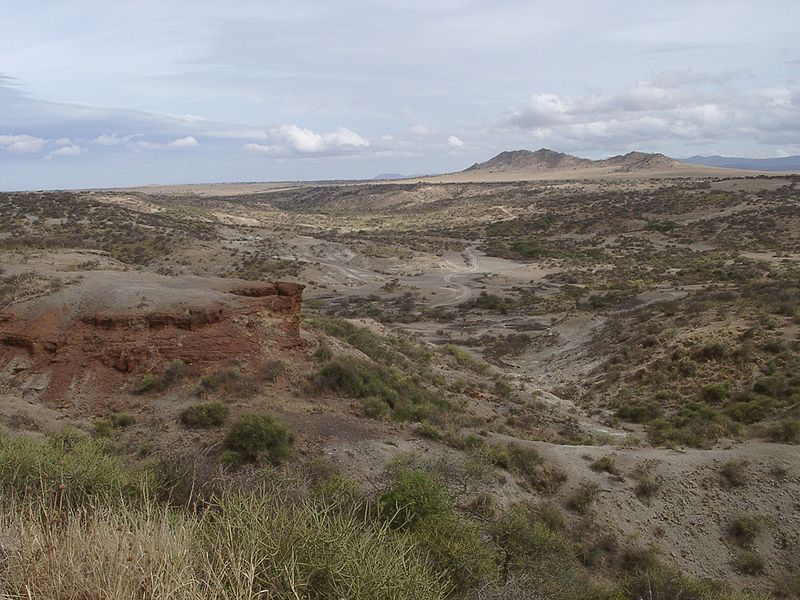 Barranco de Olduvai en Tanzania Barranco de Olduvai en Tanzania