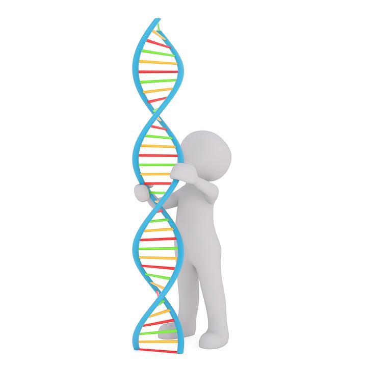 Silueta de ser humano cogiendo un trozo de la cadena de ADN