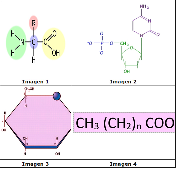 Monómeros de biomoléculas