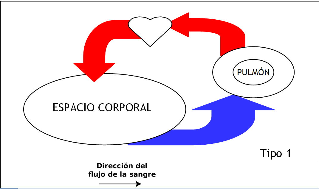 Tipo 1